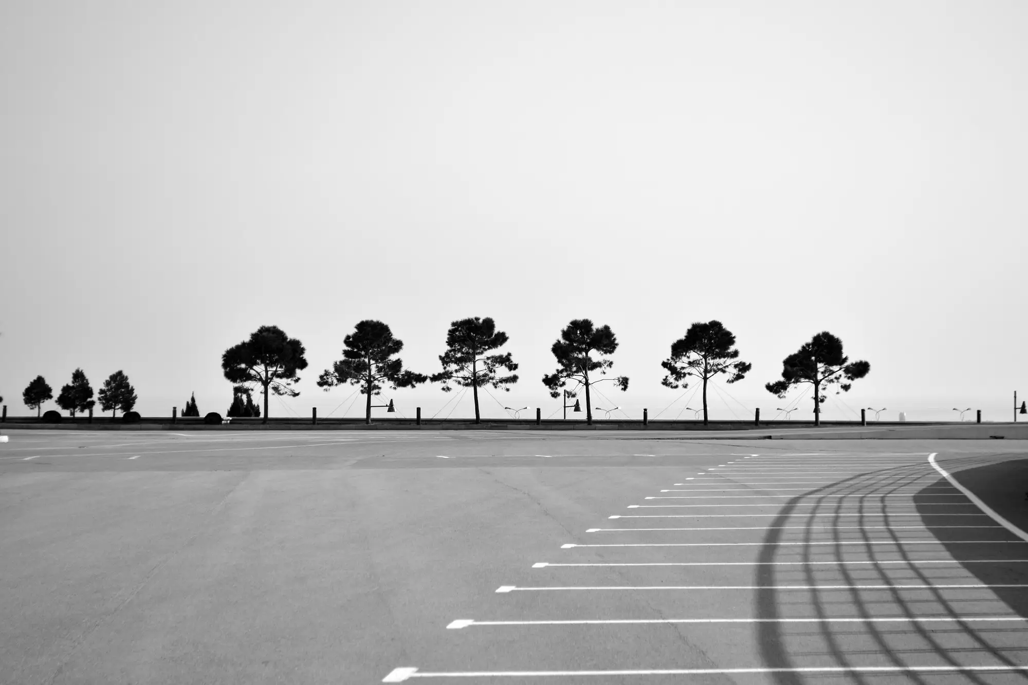 An empty surface parking lot with a row of trees at its far edge